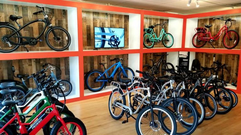 the electric bike shop