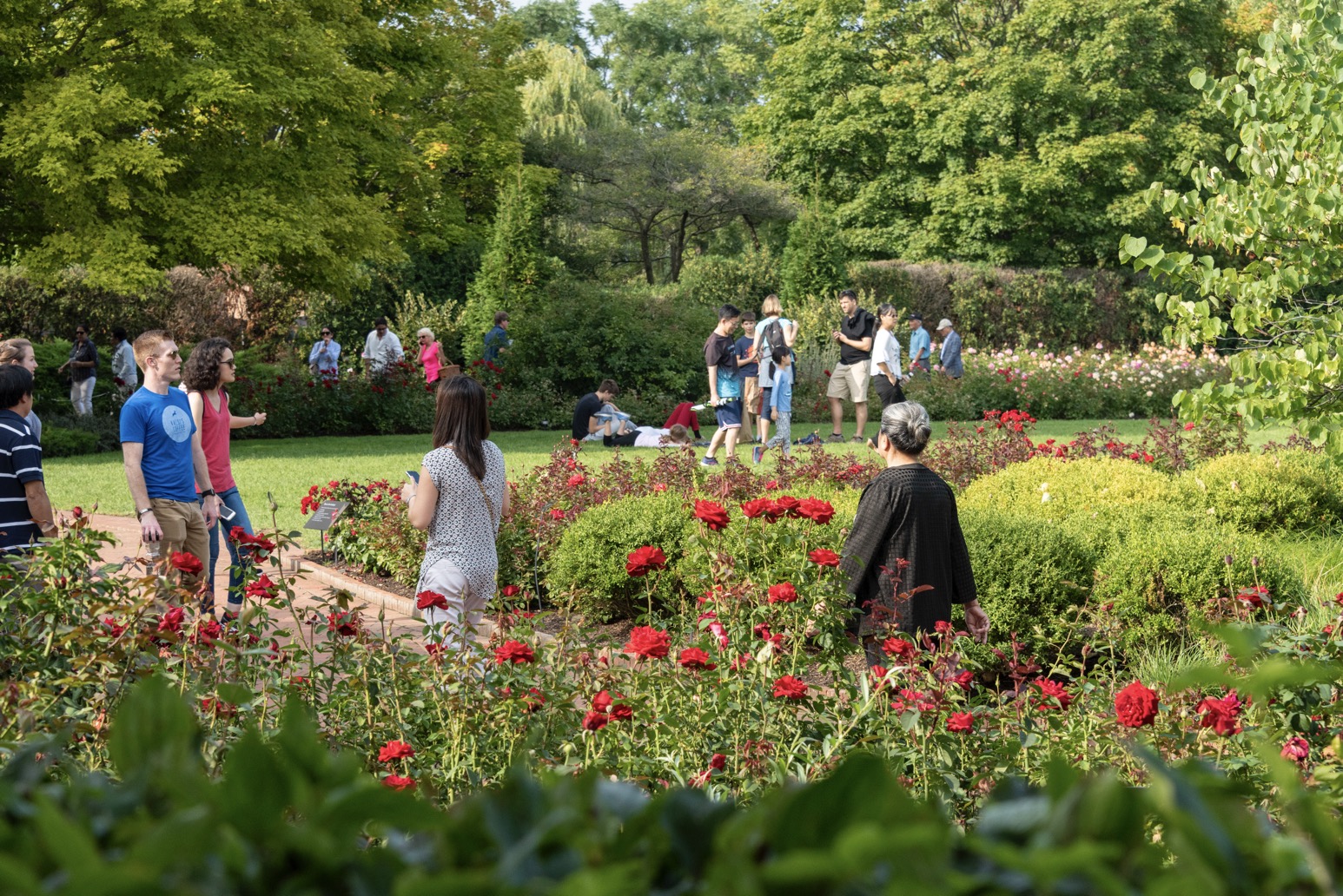 Entry fees, parking rates and free days now that Chicago Botanic Garden