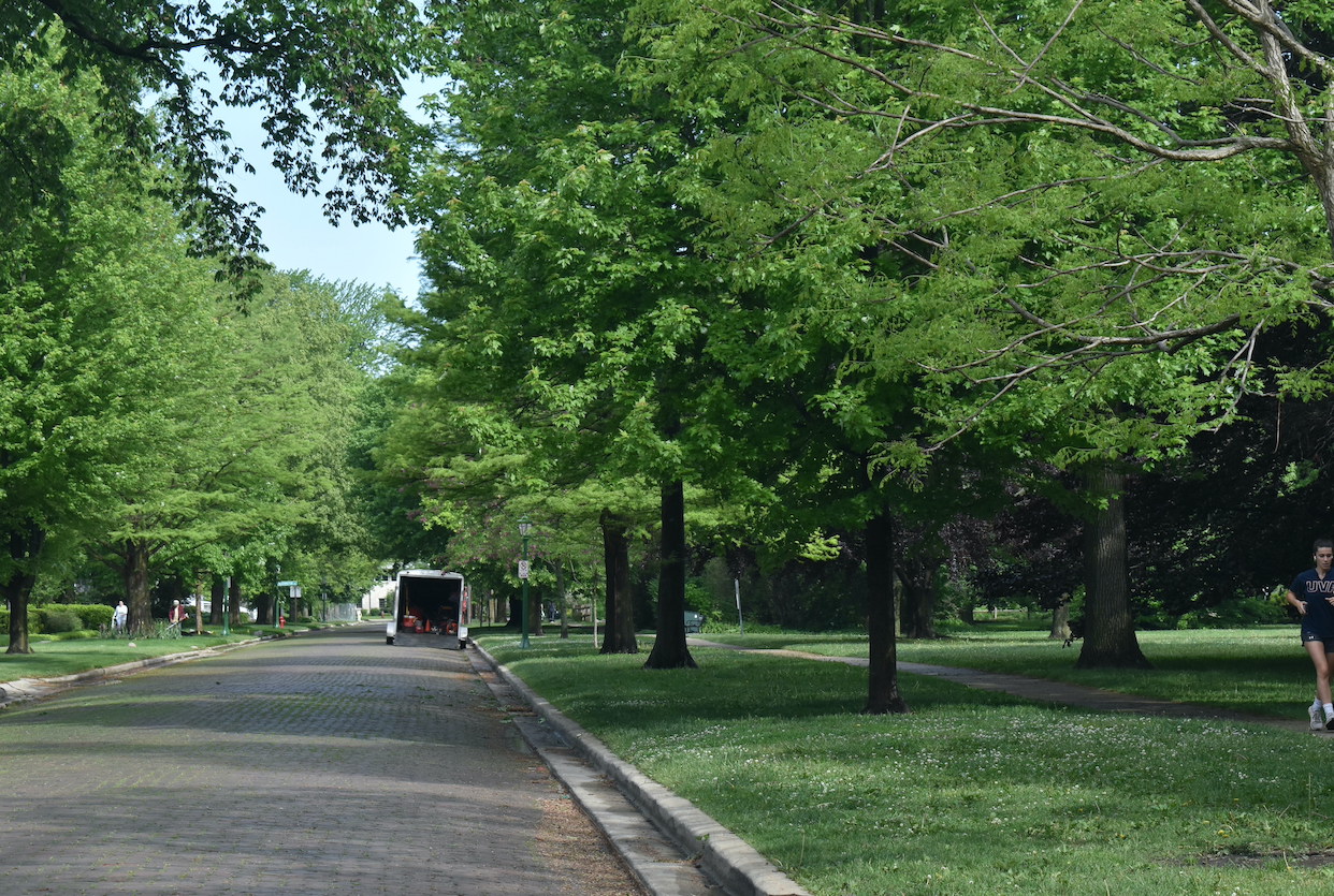 Wilmette trustees finalize new tree ordinance, which includes removal