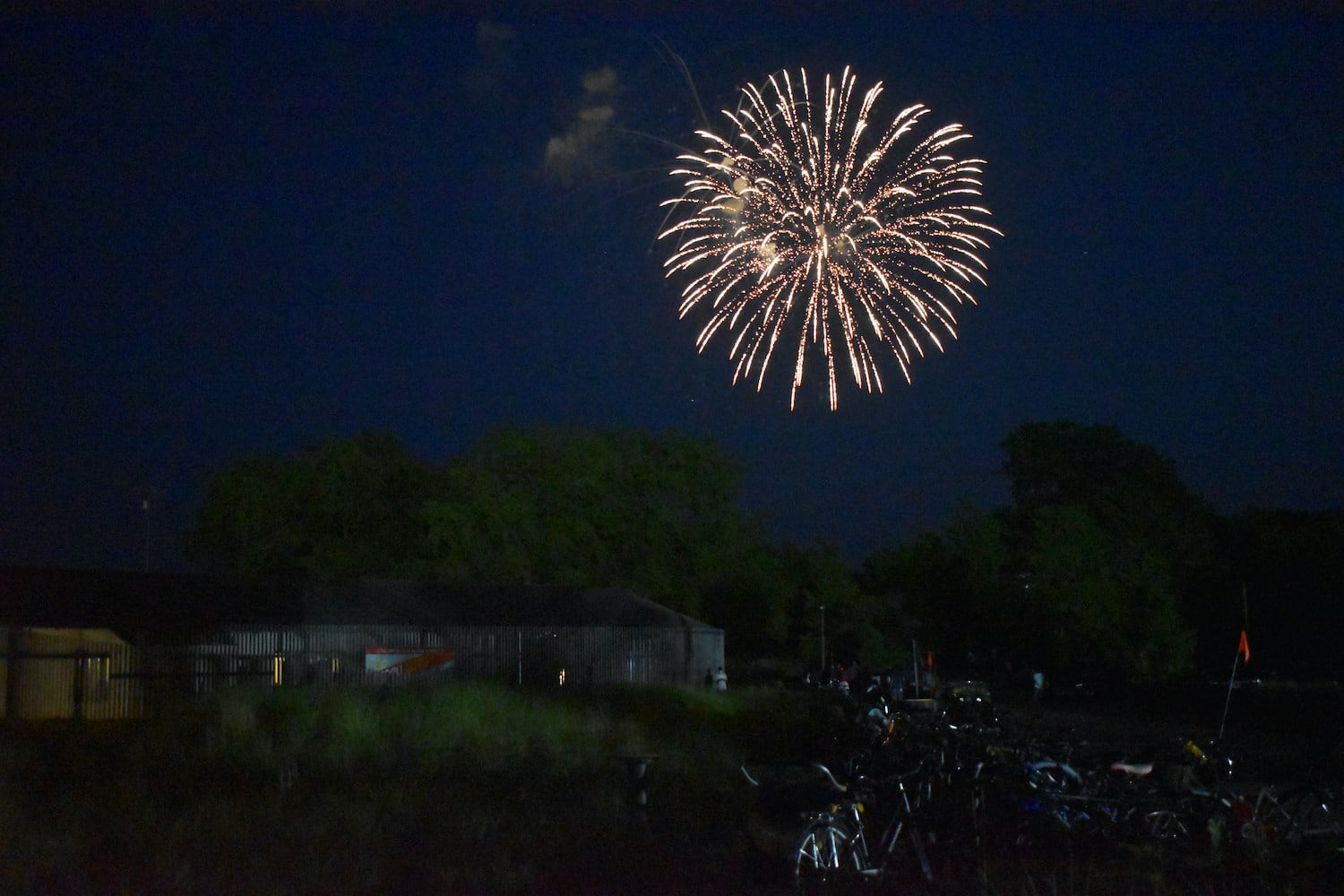 JULY 4TH FIRECRACKER FAVORITES — The Grateful Gardenia