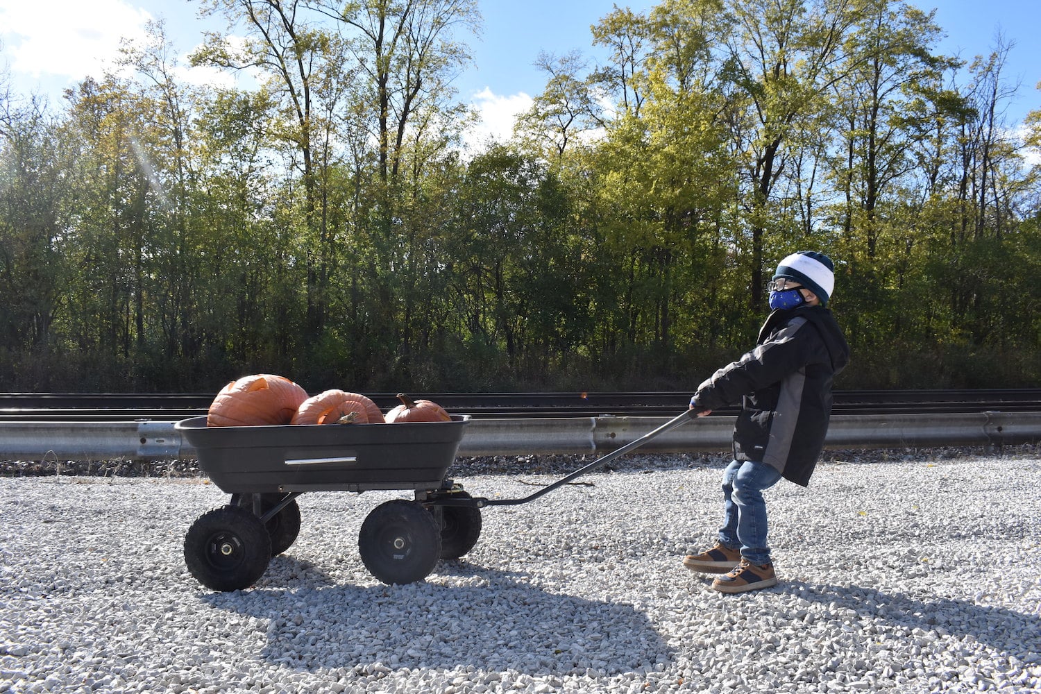 Smashing Pumpkins In The Name Of Sustainability — Parks & Rec